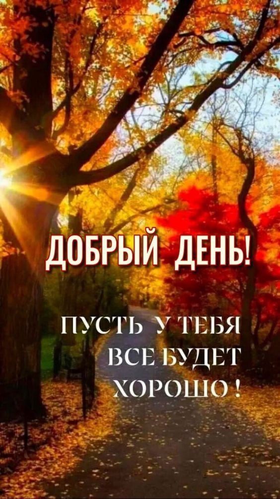 ��� ���� - 13 �������� 2026 � 13:17