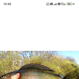 ���� �������, ������, 56 ��� - ��������� 11 ���� 2026