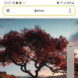 ���, ����������, 72 ����