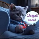 ���� ��������, ����, 51 ��� - ��������� 10 ������ 2024 � ������ ���� ����������