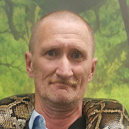 ���������, ���������, 57 ���