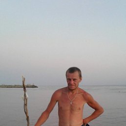 , 41, 