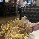 ���� �����, ������ - ��������� 14 ���� 2026 � ������ ������ ��������