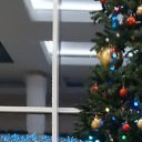 ���� ����, �������, 64 ���� - ��������� 13 ����� 2025 � ������ ���� ����������