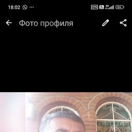 , 53 , 