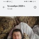 ���� ������, ���������, 49 ��� - ��������� 25 ���� 2025 � ������ ���� ����������