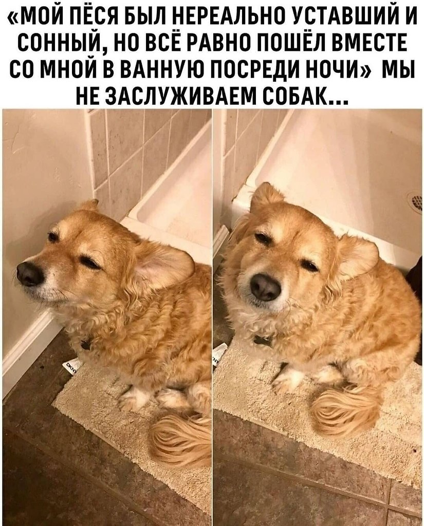    - 4  2024  08:36