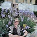 ���� ϸ��, �����������, 71 ��� - ��������� 23 ��� 2025 � ������ ���� ����������