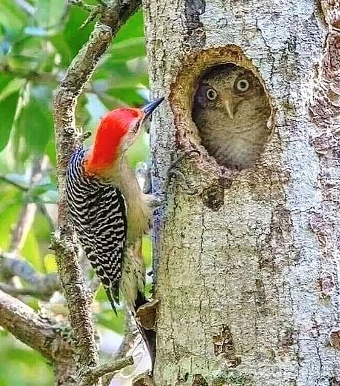   , ?
