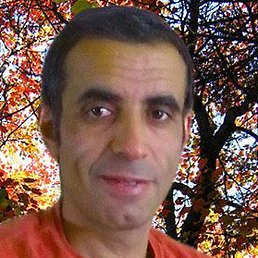Majid, �������, 53 ����