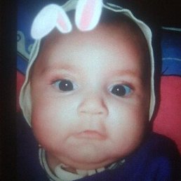 �����, �����, 43 ����