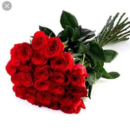 �����, �������, 32 ����