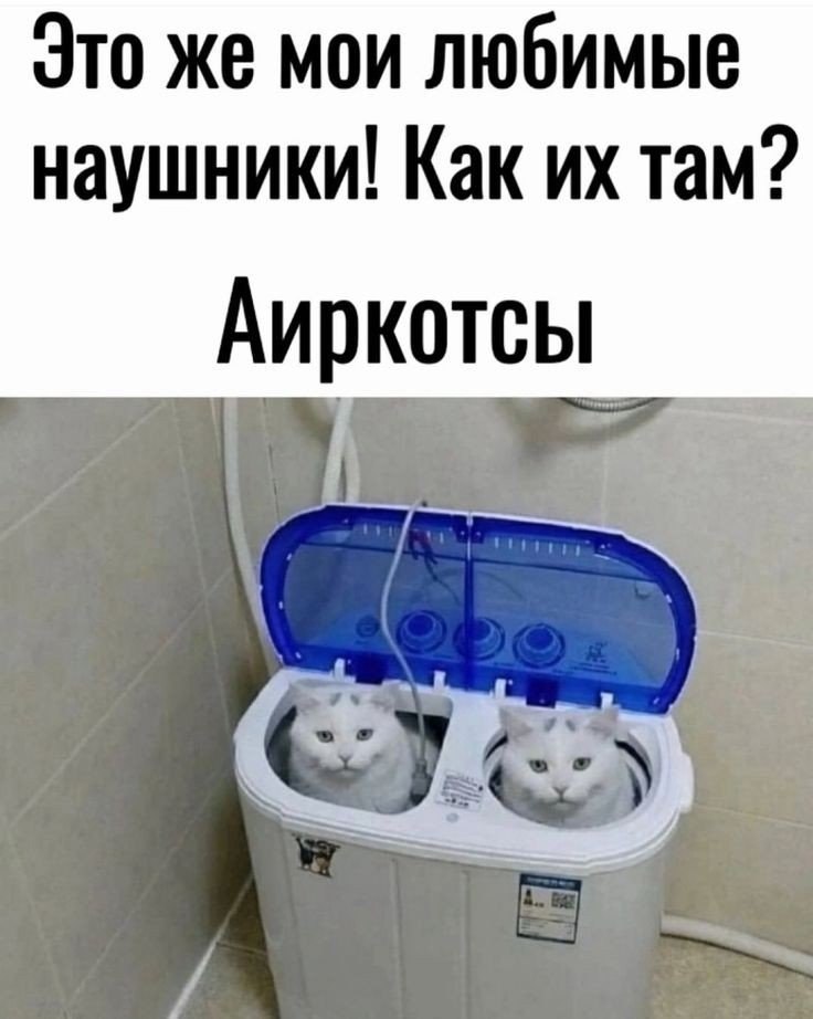   - 11  2024  11:18