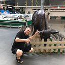 ���� �����, ������, 45 ��� - ��������� 12 ������ 2024 � ������ ���� ����������