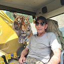 ���� �������, ������, 50 ��� - ��������� 31 ���� 2025 � ������ ���� ����������