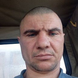 ������, �����������, 41 ���