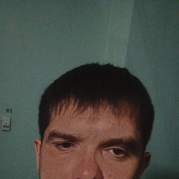 ������, 37 ���, ������