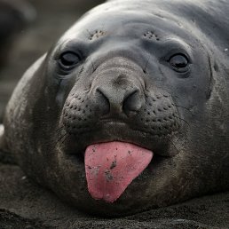 ���� ������, ������, 38 ��� - ��������� 7 ������� 2026