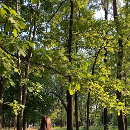  , --, 27  -  8  2025