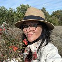 ���� ������, ����������� - ��������� 8 ������� 2025