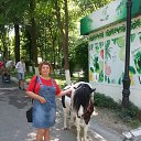 ���� ������, �������, 65 ��� - ��������� 31 ���� 2024 � ������ ���� ����������