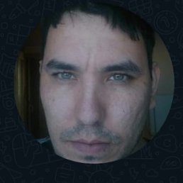 ����, ��������, 39 ���