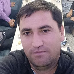 ������, �����������, 37 ���