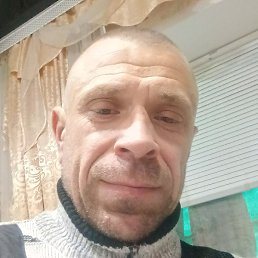 �������, ���������, 46 ���