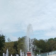 , 52 , 