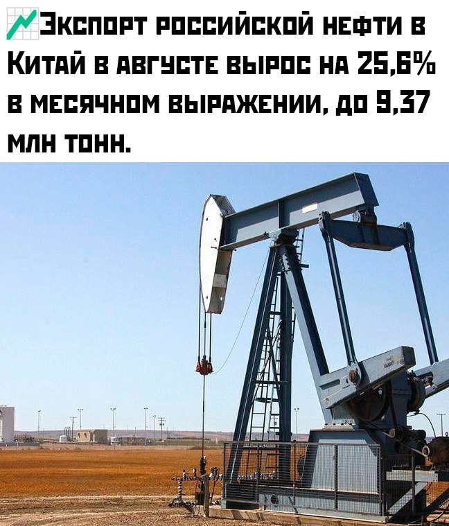 Smart Money|  - 24  2024  21:13