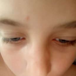 ����� �������, ������, 19 ���