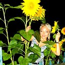  ,  , 49  -  27  2024    