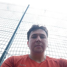 , 33, 