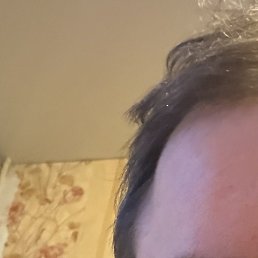 ����, ����, 40 ���