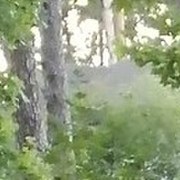 ����, ������, 67 ���