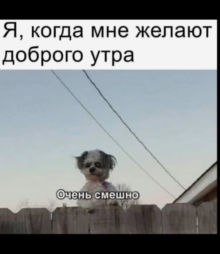 ***Victoria Viktorovna*** - 12  2025  04:09