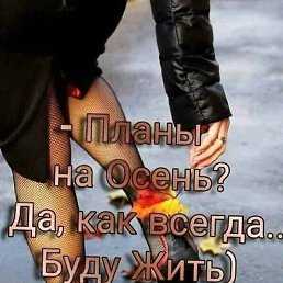 ���� ����, �������, 60 ��� - ��������� 25 ��� 2026