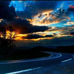 ���� Hamza, ����, 35 ��� - ��������� 4 ������ 2026