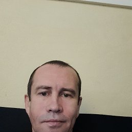 , 52, 