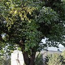 ���� ������, �������, 58 ��� - ��������� 10 ������ 2024 � ������ �����������