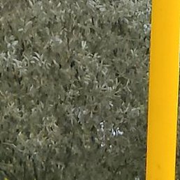 ����, ���������, 42 ����