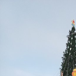 �������, �������, 62 ����