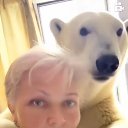 ���� ���(������ �����), ������, 61 ��� - ��������� 1 ���� 2026 � ������ ���� ����������