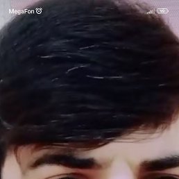 , 23, 