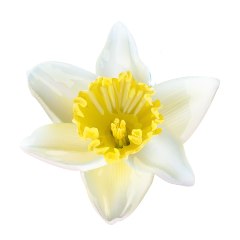 ���� ������, ����-��� - ��������� 31 ������ 2026