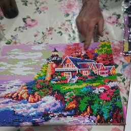 ���������, ����������, 41 ���