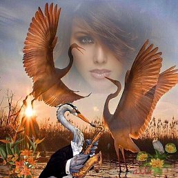 ����, ���������, 73 ����