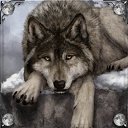 ���� ����, ������, 43 ���� - ��������� 12 ������� 2024 � ������ ���� ����������