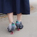 ���� �������, ������ - ��������� 15 ����� 2025 � ������ ������ ��������