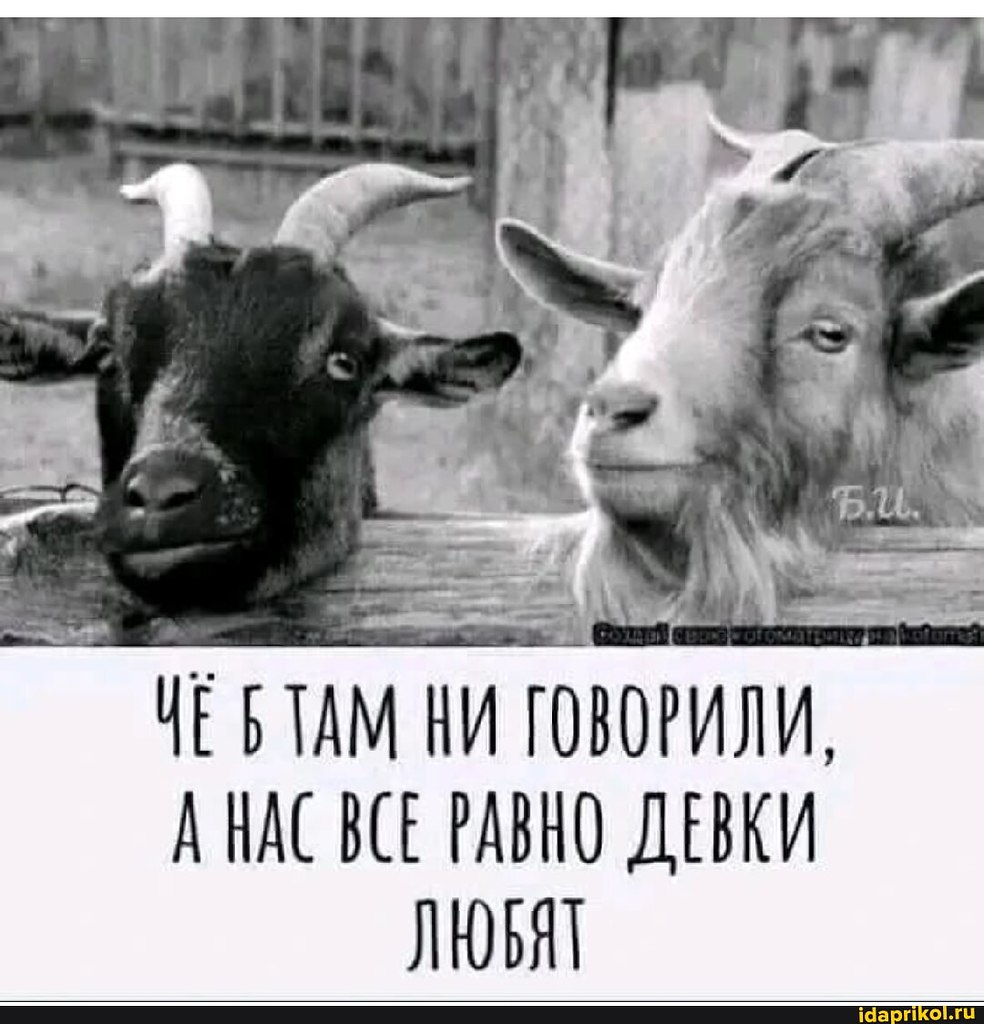 ПреЛЮДИи чувств - 8 октября 2025 в 19:18